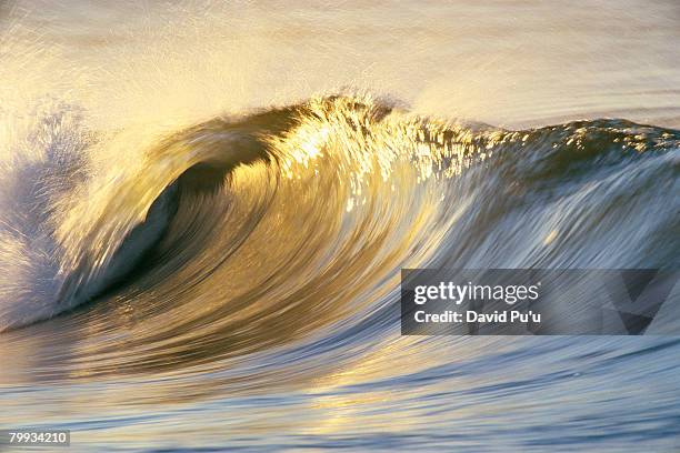 ocean wave breaking - david puu stockfoto's en -beelden