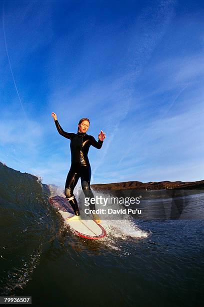 surfer girl riding a wave - david puu stockfoto's en -beelden