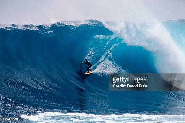 surfer catching a wave - david puu stock-fotos und bilder
