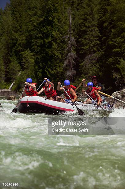 whitewater rafting - lochsa river stock pictures, royalty-free photos & images
