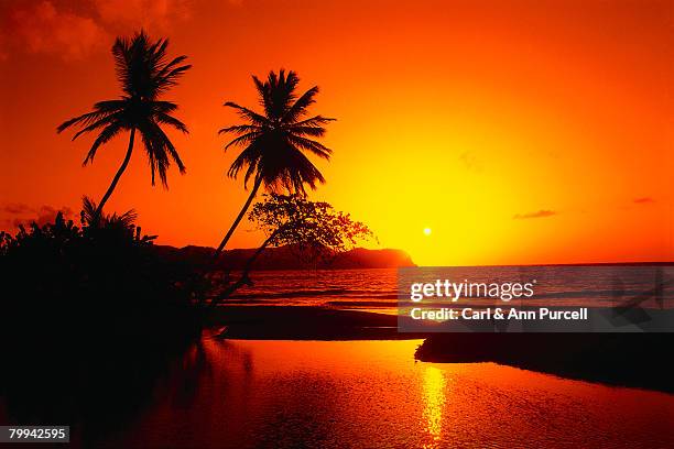 beach and orange sunset - ann purcell stockfoto's en -beelden