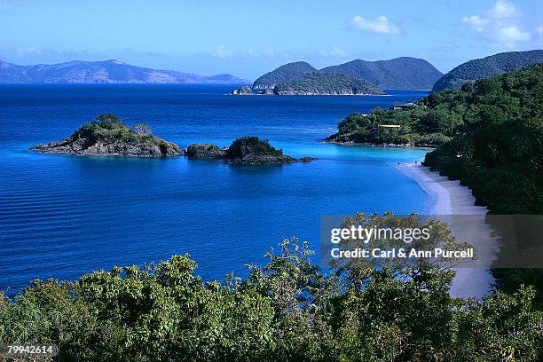 trinidad coastline and bay - ann purcell stockfoto's en -beelden