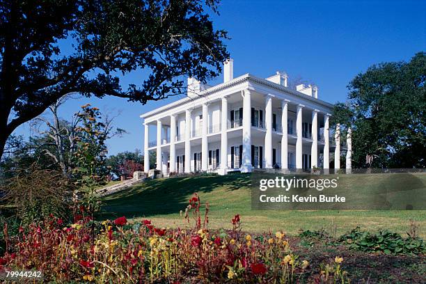exterior view of dunleith plantation house and inn in natchez, mississippi - colonnade residences stock pictures, royalty-free photos & images