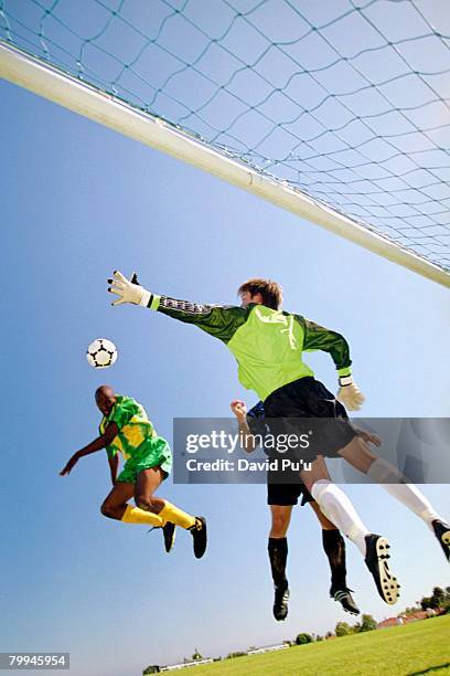 soccer goalie leaping to catch ball - david puu stockfoto's en -beelden