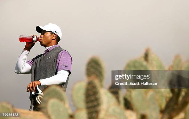 Tiger Woods drinks an energy drink on the 13th hole during the quarterfinal matches of the WGC-Accenture Match Play Championship at The Gallery at...
