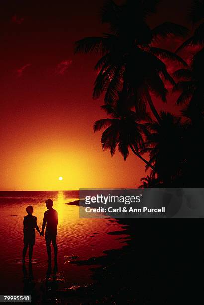 couple holding hands on a beach at sunset - ann purcell stockfoto's en -beelden