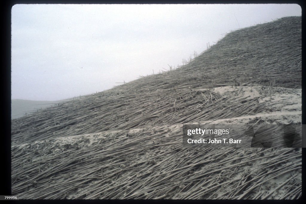 Aftermath of Mount St Helens Eruption