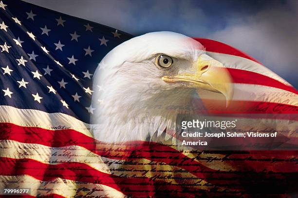 bald eagle head and american flag - bald eagle with american flag stockfoto's en -beelden