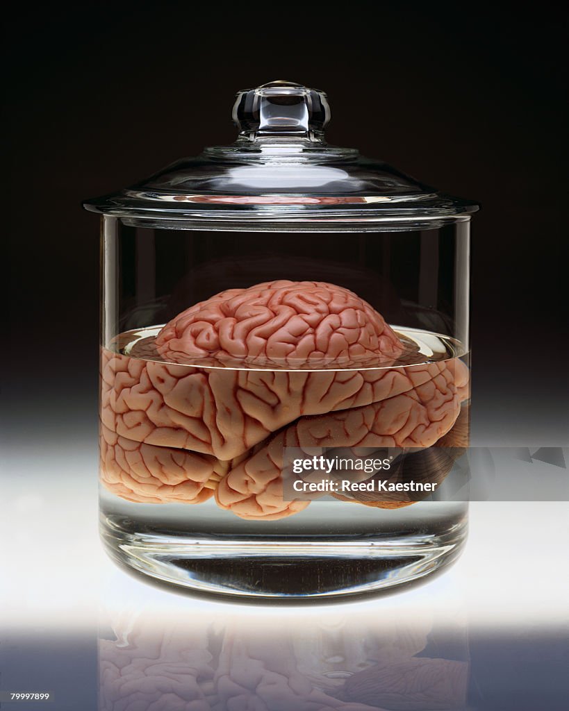 Brain In Jar Real Human Brain In A Jar Brain In A Jar | Went To The Surgeons Hall