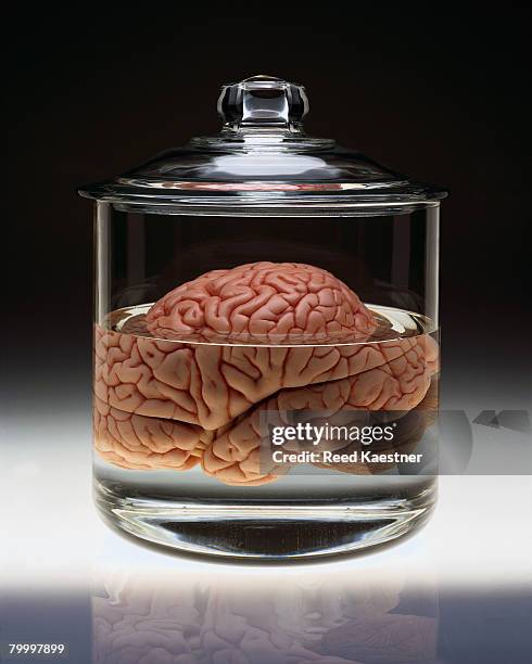 human brain in specimen jar - brain in a jar stock pictures, royalty-free photos & images