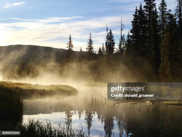 misty headwaters of the deschutes river at little lava lake, oregon - oregon wilderness stock pictures, royalty-free photos & images