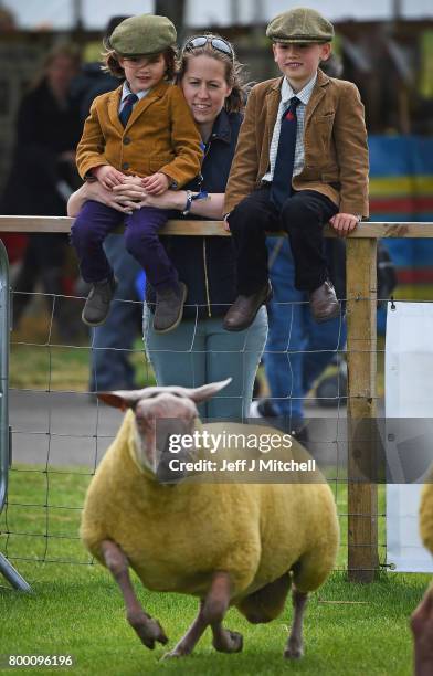 Zara, Ailsa and Alfie Teasdale look on as farmers show their sheep at the Royal Highland show on June 23, 2017 in Edinburgh, Scotland.The Royal...