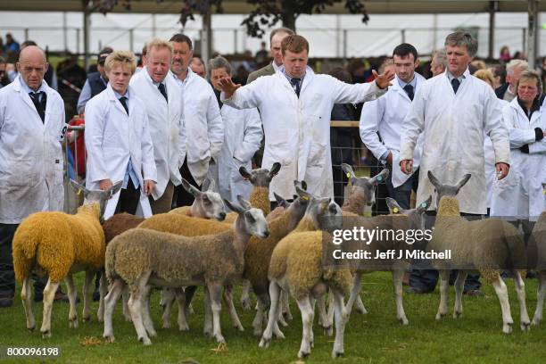 Farmers show their sheep at the Royal Highland show on June 23, 2017 in Edinburgh, Scotland.The Royal Highland Show is Scotland's annual farming and...