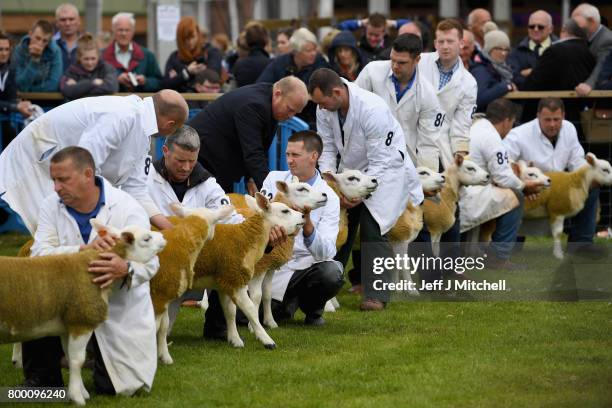 Farmers show their sheep at the Royal Highland show on June 23, 2017 in Edinburgh, Scotland.The Royal Highland Show is Scotland's annual farming and...