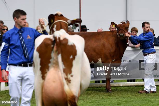 Farmers show their cattle at the at the Royal Highland show on June 23, 2017 in Edinburgh, Scotland.The Royal Highland Show is Scotland's annual...