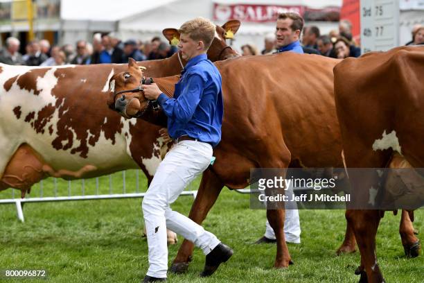 Farmers show their cattle at the at the Royal Highland show on June 23, 2017 in Edinburgh, Scotland.The Royal Highland Show is Scotland's annual...