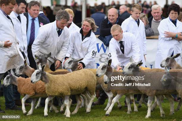 Farmers show their cattle at the Royal Highland show on June 23, 2017 in Edinburgh, Scotland.The Royal Highland Show is Scotland's annual farming and...