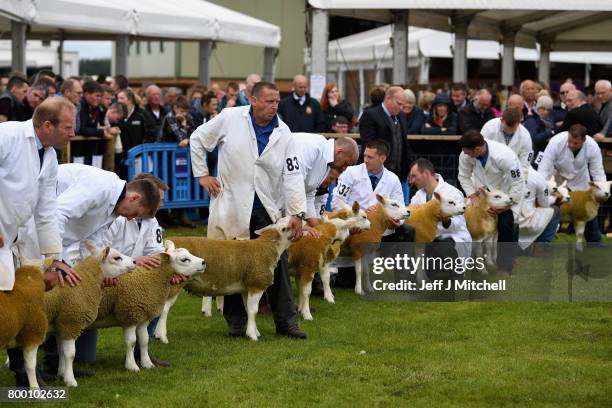 Farmers show their cattle at the Royal Highland show on June 23, 2017 in Edinburgh, Scotland.The Royal Highland Show is Scotland's annual farming and...