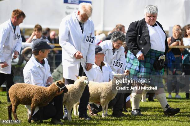 Alastair Wilson from Summerside Farm Newmains judges lambs at the Royal Highland show on June 23, 2017 in Edinburgh, Scotland. The Royal Highland...