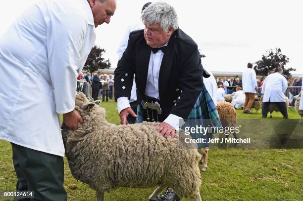 Alastair Wilson from Somerside Farm Newmains judges lambs at the Royal Highland show on June 23, 2017 in Edinburgh, Scotland. The Royal Highland Show...
