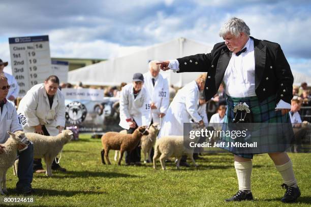 Alastair Wilson from Somerside Farm Newmains judges lambs at the Royal Highland show on June 23, 2017 in Edinburgh, Scotland. The Royal Highland Show...