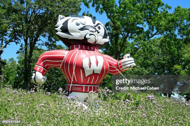 Bucky Badger is seen near the 14 green during the first round of the American Family Insurance Championship held at University Ridge Golf Course on...