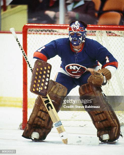 Chico Resch of the New York Islanders tends gaoal in game against the Boston Bruins at Boston Garden.