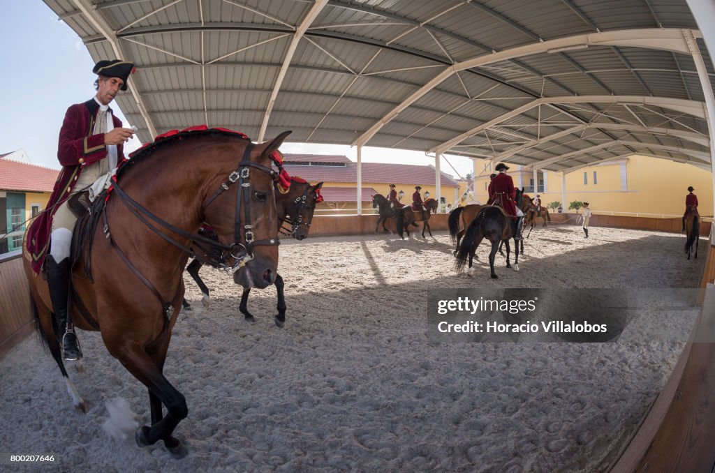 Portuguese School Of Equestrian Art New Stables And Gala Performance