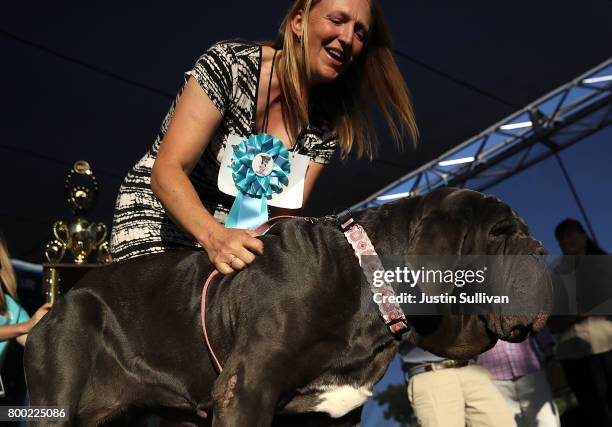 Shirley Zindler of Sebastopol, California stands with her Neapolitan Mastiff named Martha after after winning the 2017 World's Ugliest Dog contest at...
