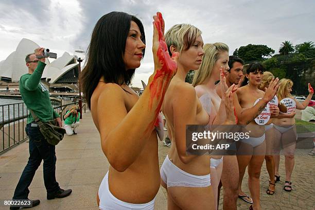 Members of People for the Ethical Treatm, News Photo