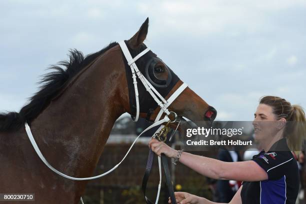 Encosta Line after winning Grampians Region Handicap at Flemington Racecourse on June 24, 2017 in Flemington, Australia.