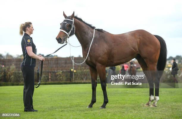 Encosta Line after winning Grampians Region Handicap,at Flemington Racecourse on June 24, 2017 in Flemington, Australia.