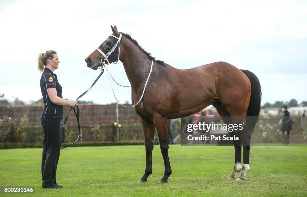 Encosta Line after winning Grampians Region Handicap,at Flemington Racecourse on June 24, 2017 in Flemington, Australia.