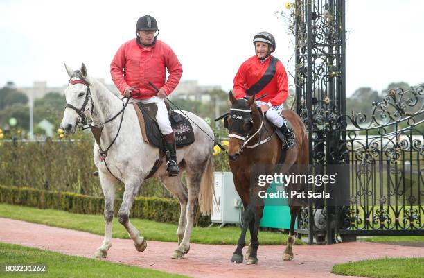 Damien Oliver returns to the mounting yard on Encosta Line after winning Grampians Region Handicap,at Flemington Racecourse on June 24, 2017 in...