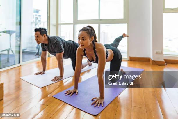 Illustration of Penthouse Apartment Yoga Studio Cleaning