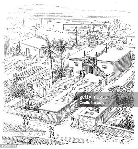 egyptian farm house - nile river agriculture stock illustrations