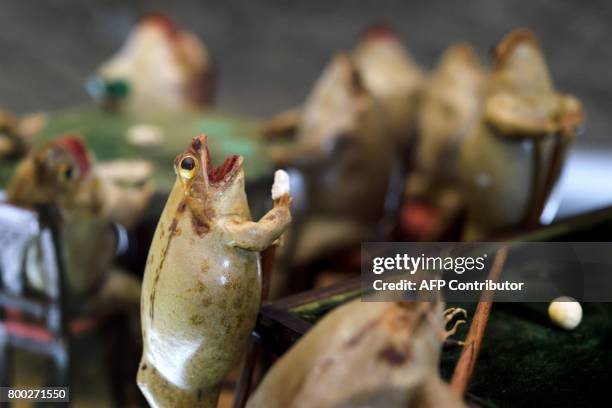 This photo taken on June 22, 2017 shows models of frogs playing billiards at the Frog Museum in Estavayer-le-Lac, western Switzerland. The museum...