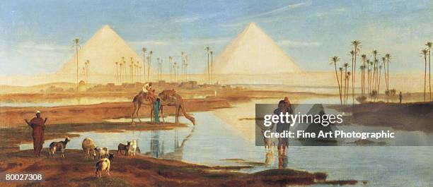 a view of the pyramids - herbivorous stock illustrations