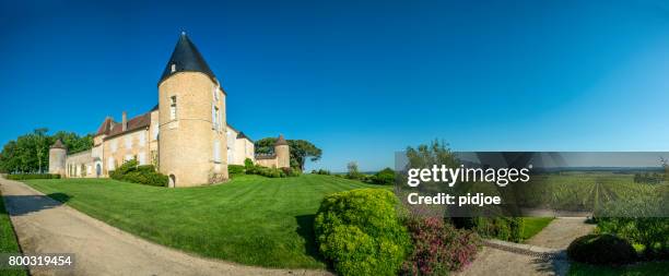 vineyard and chateau d'yquem, sauternes region, aquitaine, franc - sauternes stock pictures, royalty-free photos & images