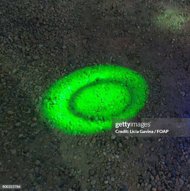 green light on dirt - lichia stock-fotos und bilder