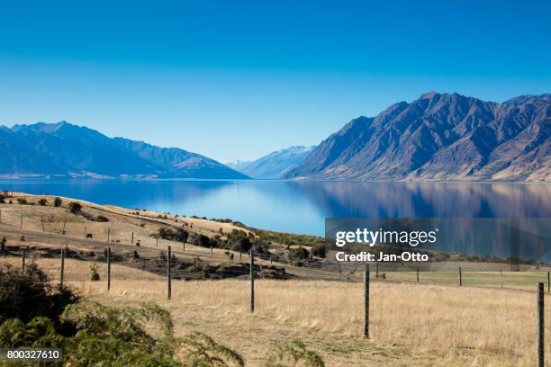 lake hawea auf der südinsel, neuseeland - hawea stock-fotos und bilder