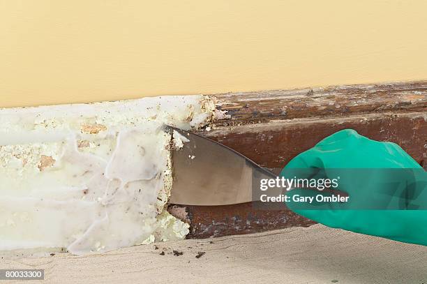 using a scraper to remove paint from skirting board covered with paste stripping solution - paint scraper stock pictures, royalty-free photos & images