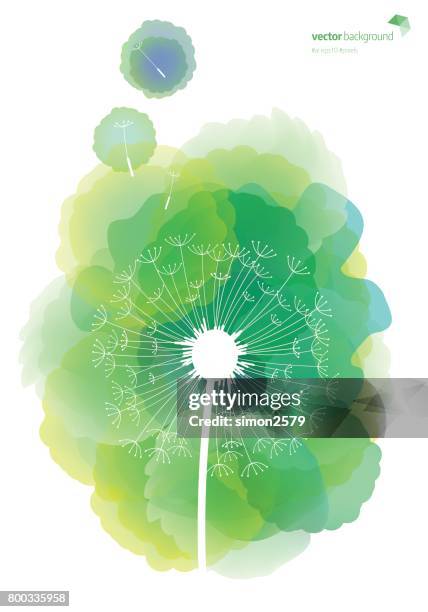 dandelion pattern with watercolor textured background - dandelion stock illustrations