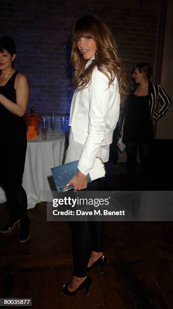 Elle Macpherson attends the cocktail reception for the fundraising gala 'Figures of Speech', at the Lawrence Hall on February 27, 2008 in London,...