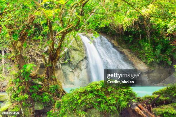 wafsarak waterfall - water garden stock pictures, royalty-free photos & images