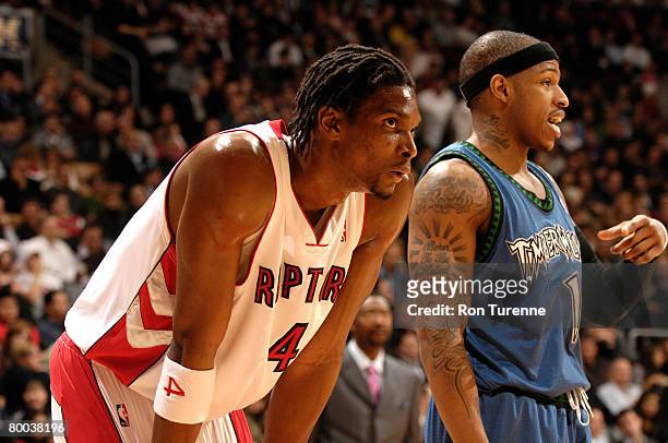 Chris Bosh of the Toronto Raptors waits for a rebound with Rashad McCants of the Minnesota Timberwolves on February 27, 2008 at the Air Canada Centre...
