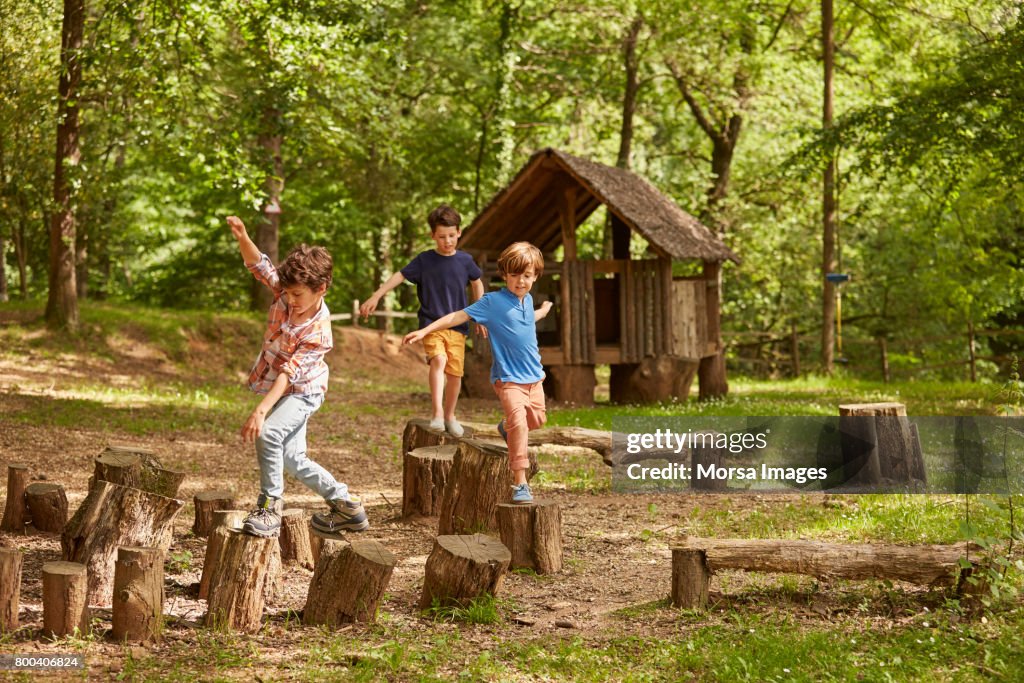 Friends playing on tree stumps in forest