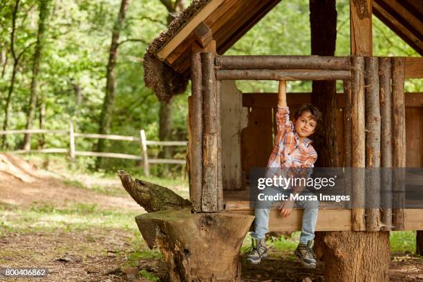 lächelnde junge sitzt im baumhaus im wald - baumhaus stock-fotos und bilder