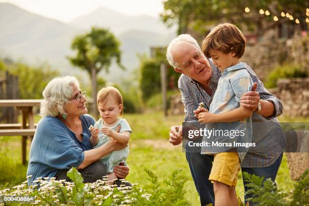 großeltern gespräch mit kindern im hof - happy day stock-fotos und bilder