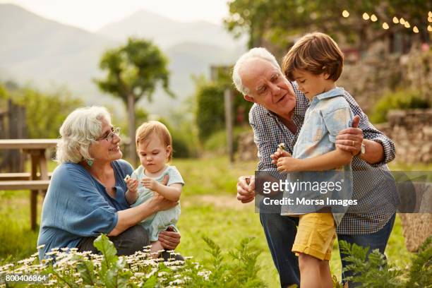 grandparents talking to children in yard - grandfather stock pictures, royalty-free photos & images